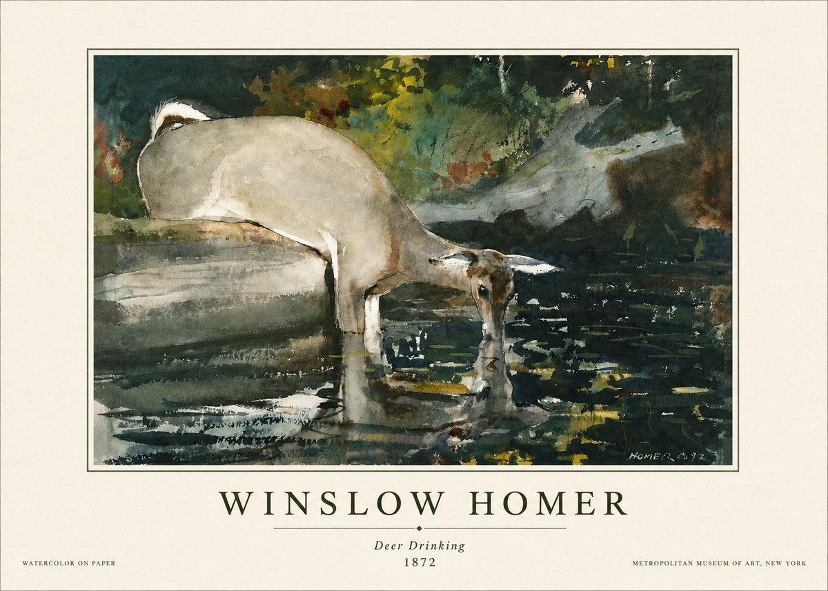 Winslow Homer Deer Drinking No5 - Juliste