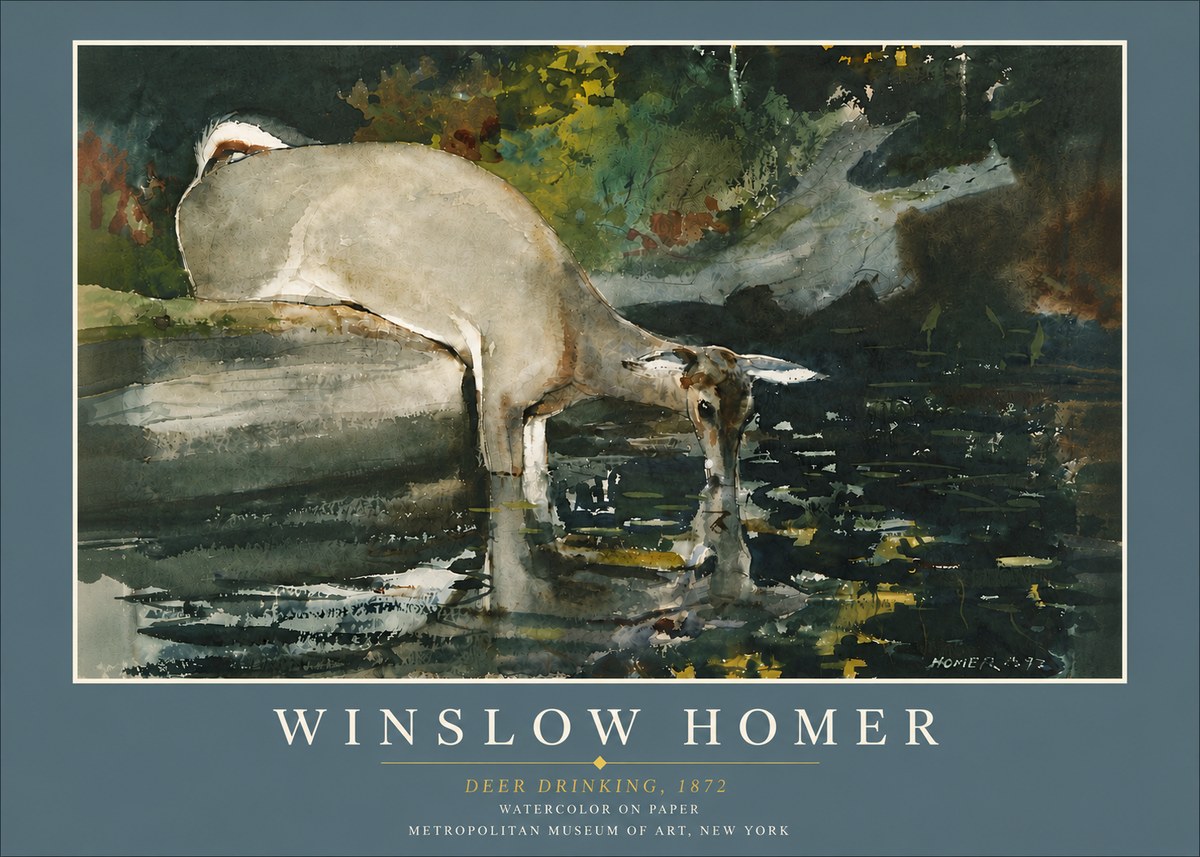 Winslow Homer Deer Drinking No6 - Juliste