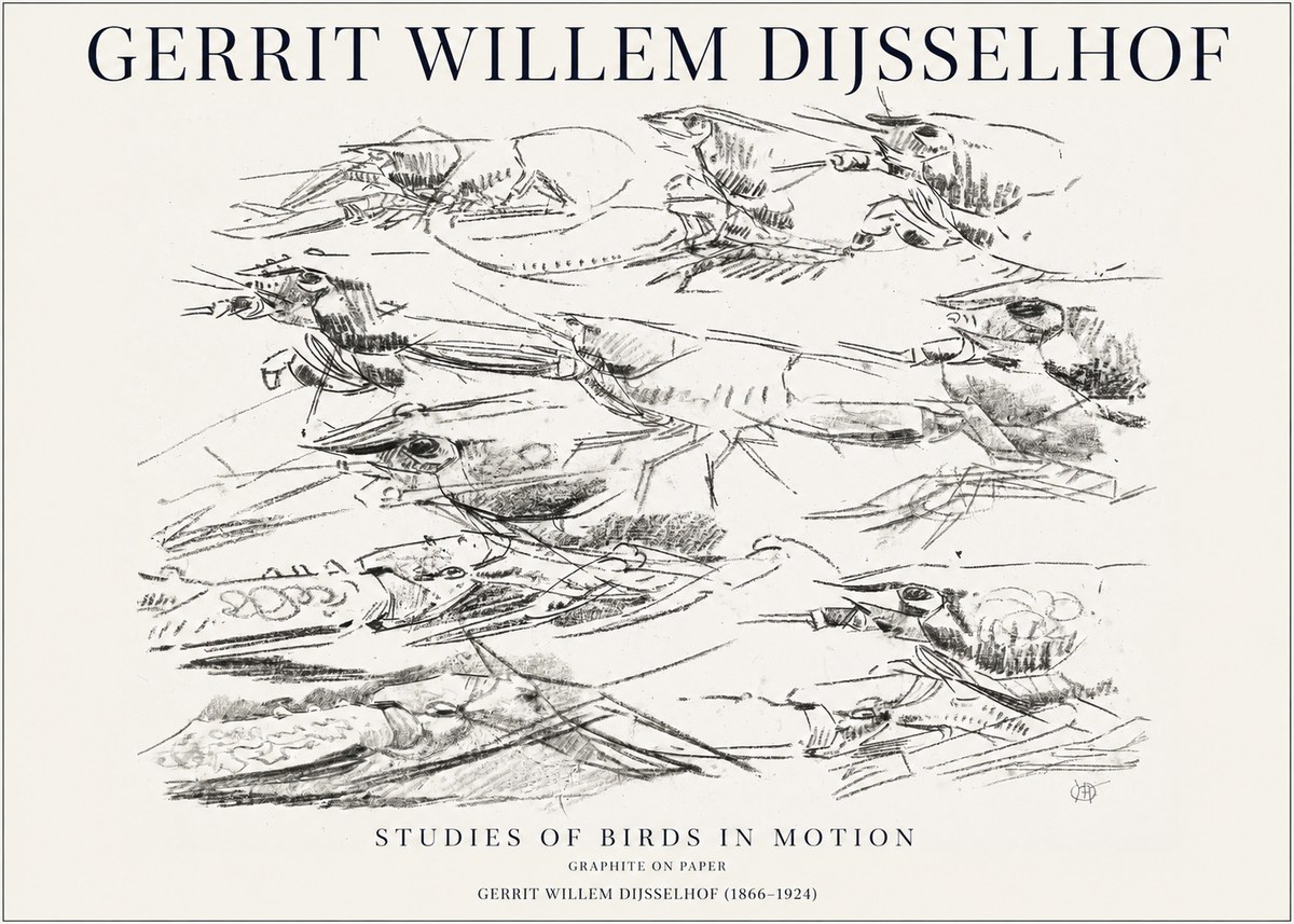 Gerrit Willem Dijsselhof Studies of Birds in Motion No1 - Juliste