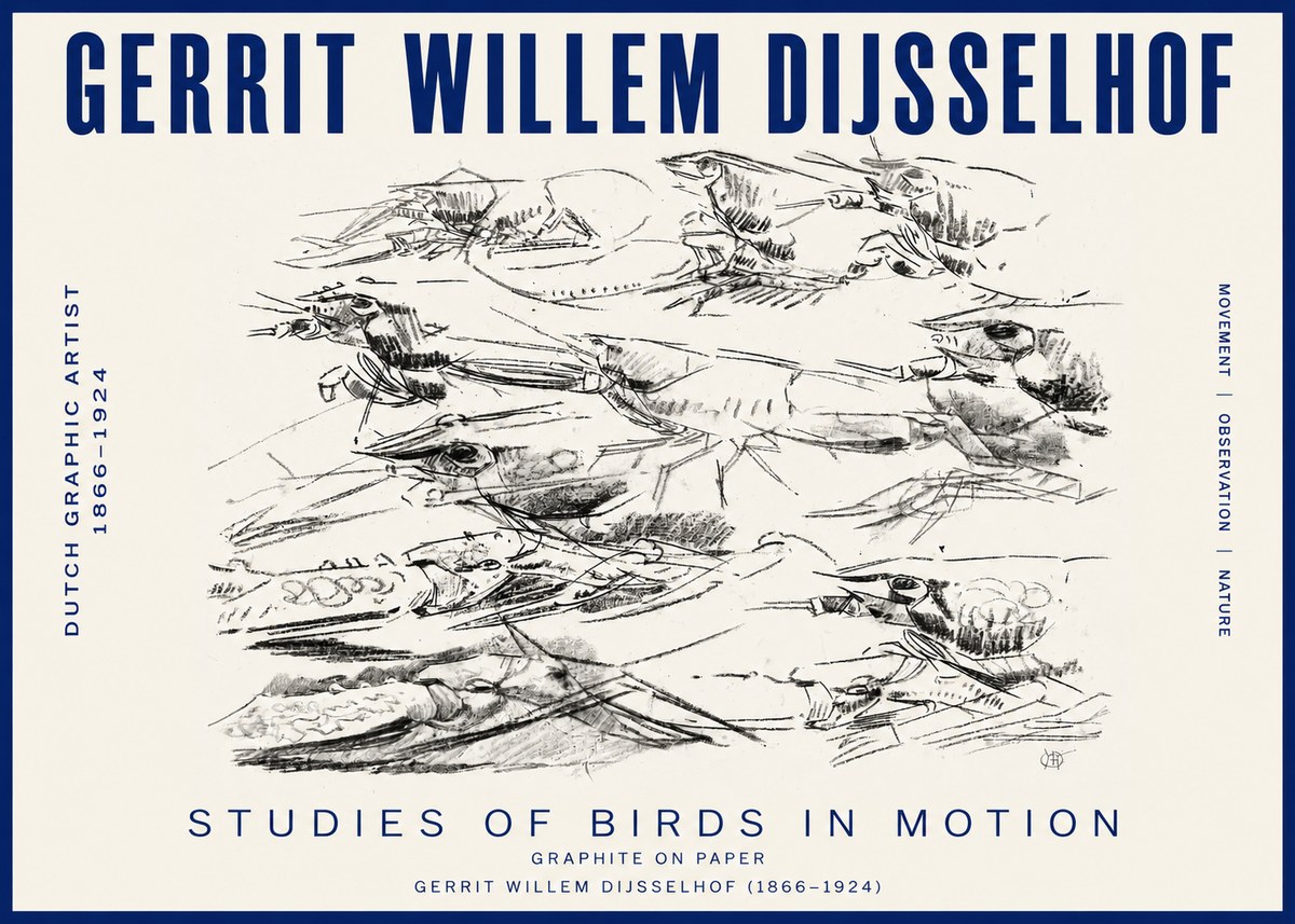 Gerrit Willem Dijsselhof Studies of Birds in Motion No3 - Juliste