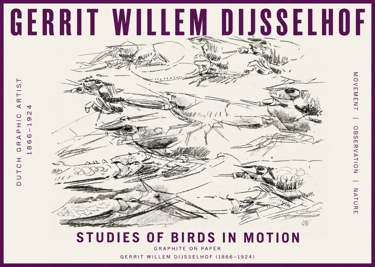 Gerrit Willem Dijsselhof Studies of Birds in Motion No5 - Juliste
