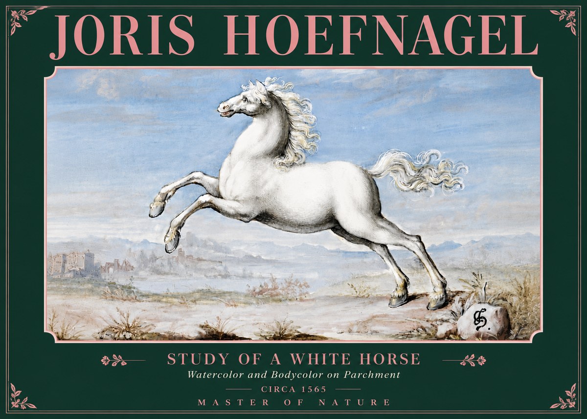 Joris Hoefnagel Study of a White Horse No5 - Juliste