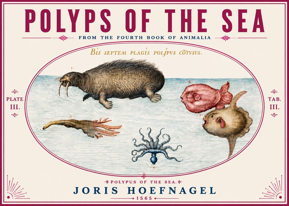 Joris Hoefnagel Polyps of the Sea No6 - Juliste