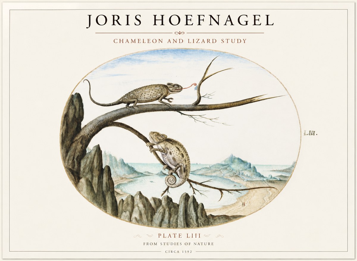 Joris Hoefnagel Chameleon and Lizard No2 - Juliste