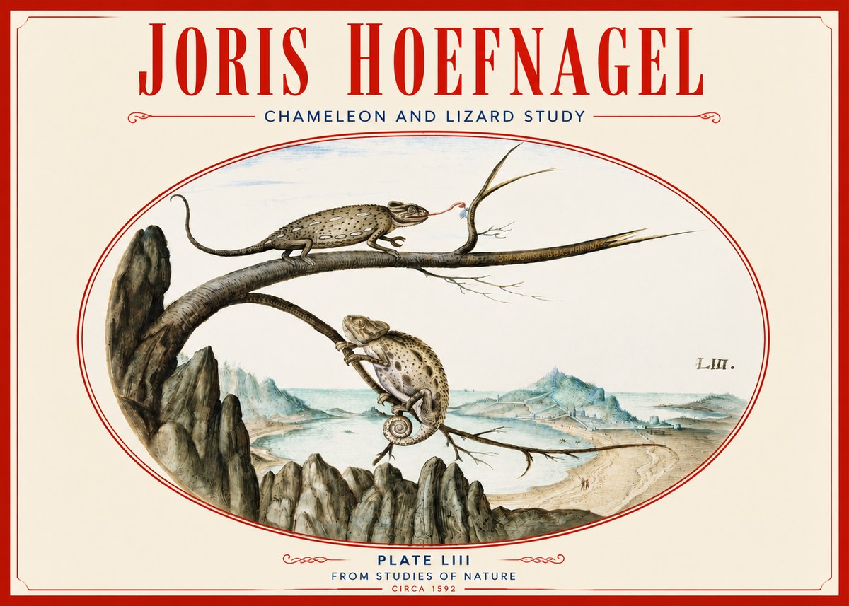 Joris Hoefnagel Chameleon and Lizard No4 - Juliste
