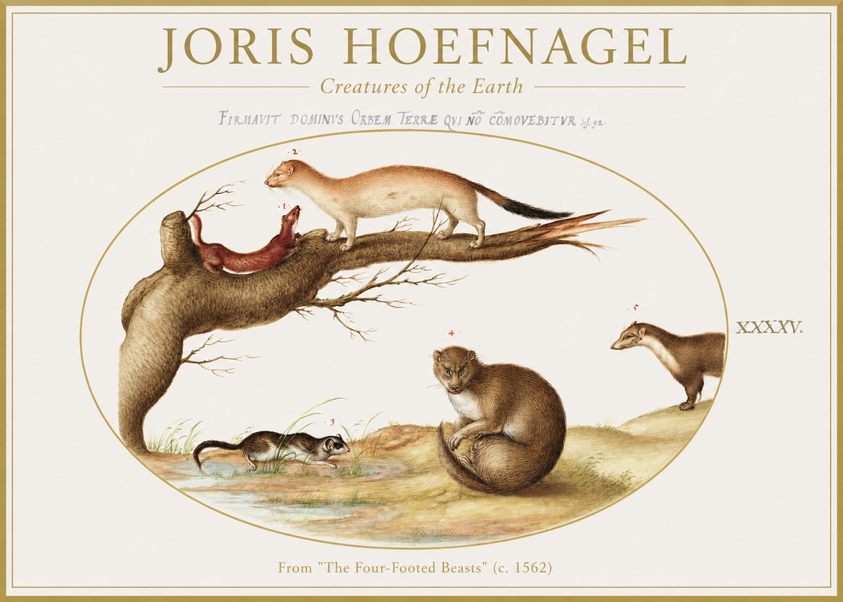 Joris Hoefnagel Creatures of the Earth I No1 - Juliste
