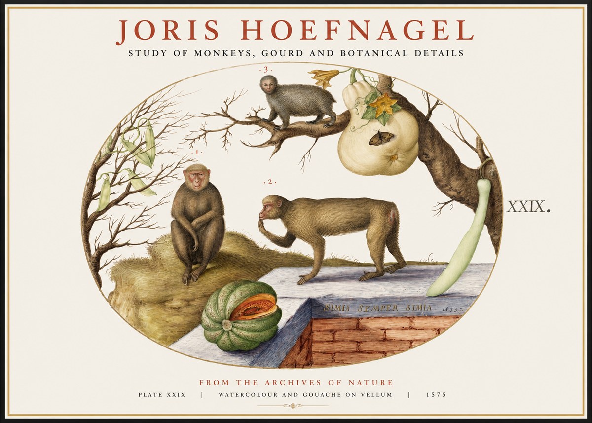 Joris Hoefnagel But Always a Monkey, Always a Monkey. Plate Xxix No2 - Juliste