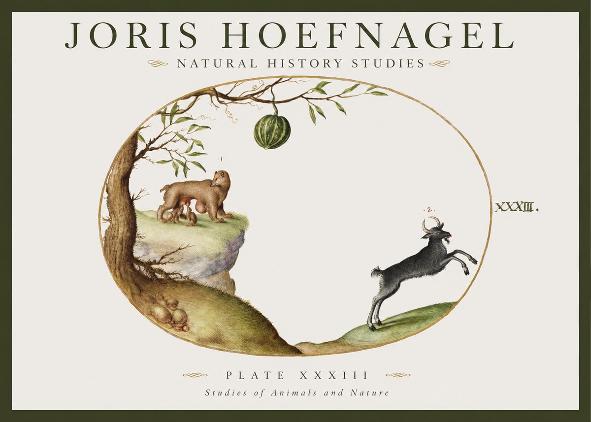 Joris Hoefnagel Plate Xxxiii No1 - Juliste