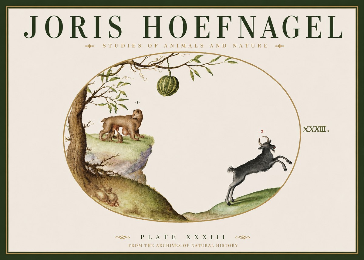 Joris Hoefnagel Plate Xxxiii No3 - Juliste