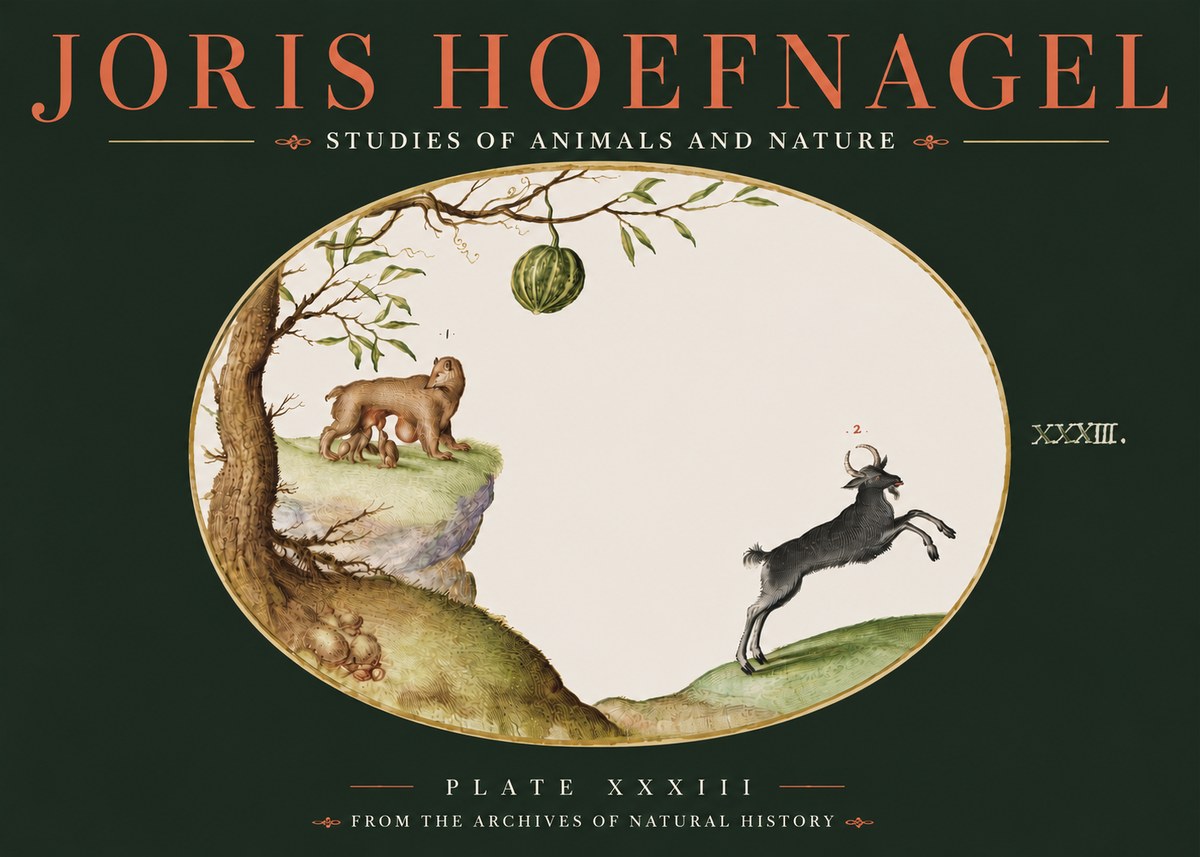 Joris Hoefnagel Plate Xxxiii No4 - Juliste