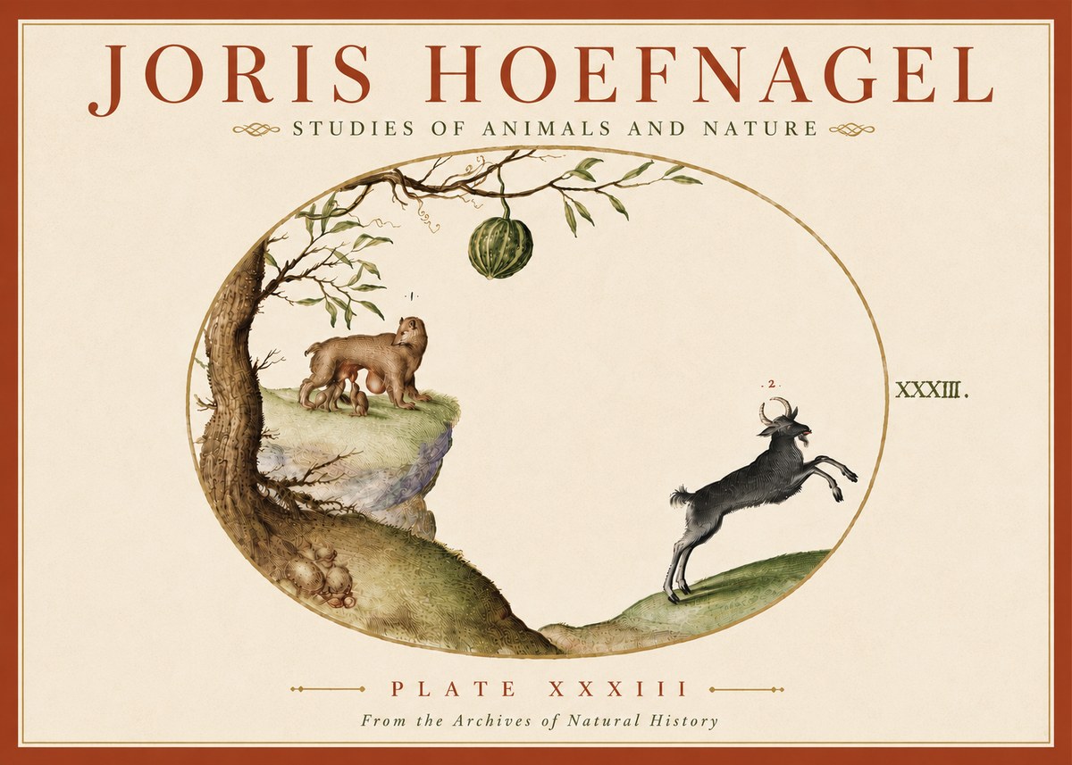 Joris Hoefnagel Plate Xxxiii No6 - Juliste