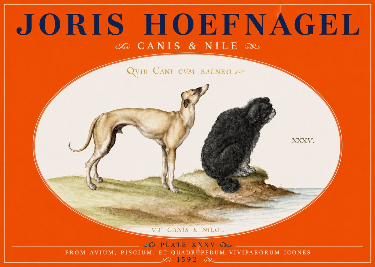 Joris Hoefnagel Neither Can a Dog Live in Baths No5 - Juliste