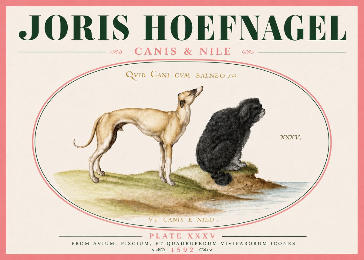 Joris Hoefnagel Neither Can a Dog Live in Baths No6 - Juliste