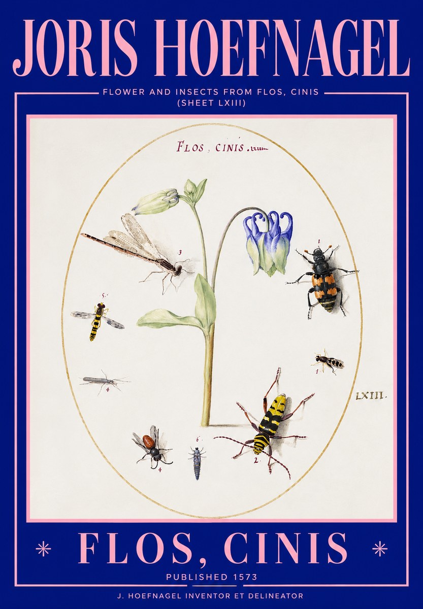 Joris Hoefnagel Insects and a Flower Study No3 - Juliste
