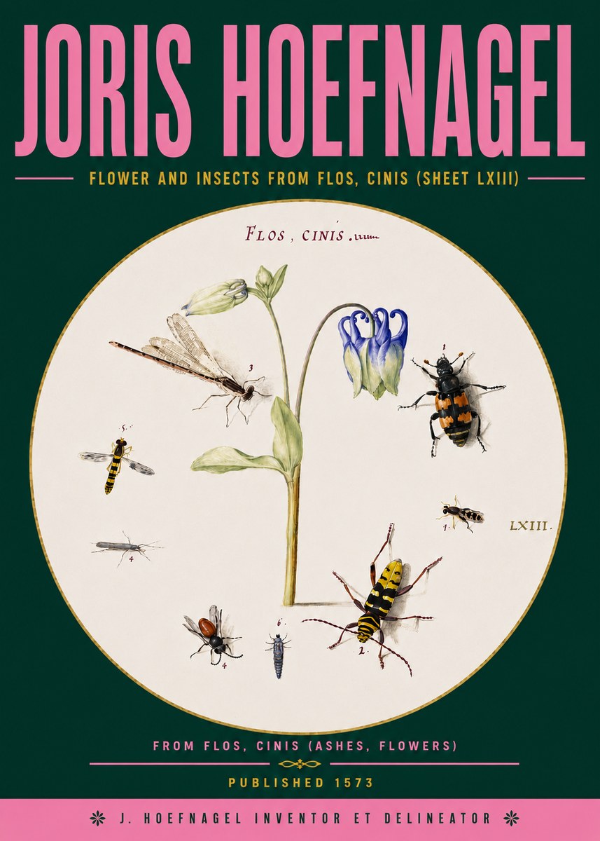 Joris Hoefnagel Insects and a Flower Study No6 - Juliste