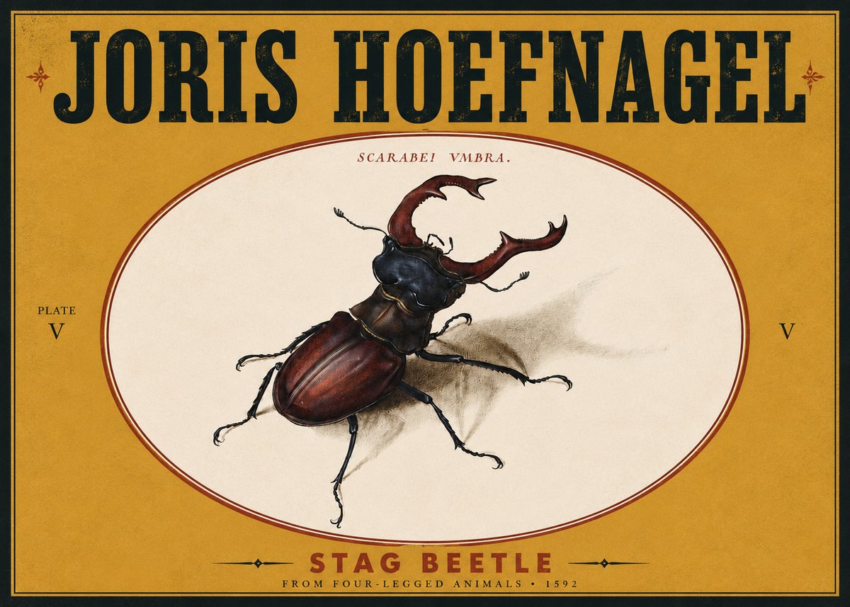 Joris Hoefnagel Stag Beetle No5 - Juliste
