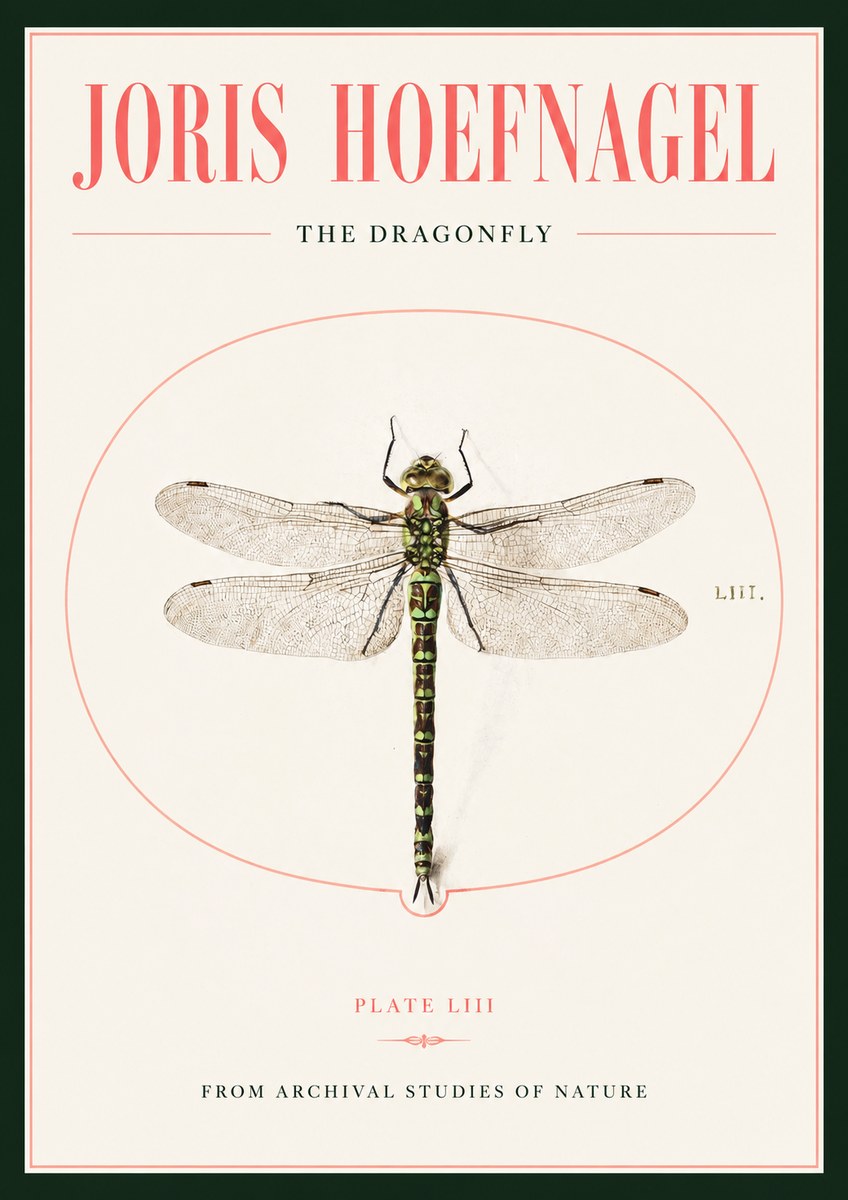 Joris Hoefnagel The Dragonfly No2 - Juliste