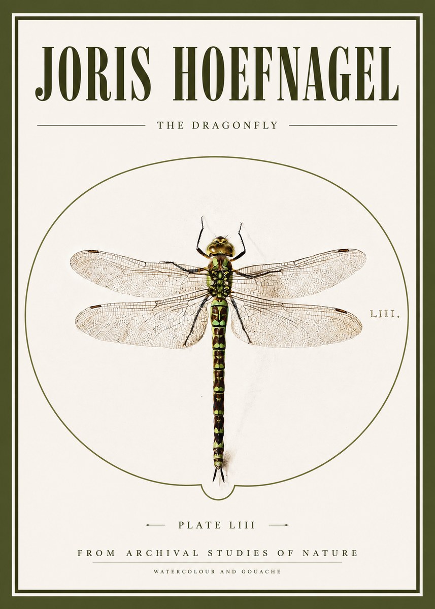 Joris Hoefnagel The Dragonfly No3 - Juliste