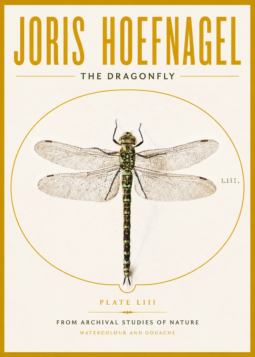 Joris Hoefnagel The Dragonfly No4 - Juliste
