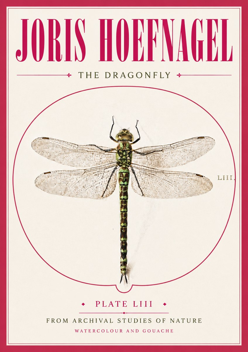 Joris Hoefnagel The Dragonfly No5 - Juliste