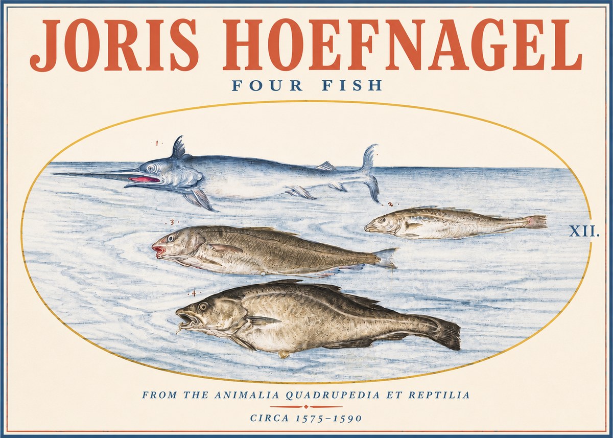 Joris Hoefnagel Four Fish No3 - Juliste