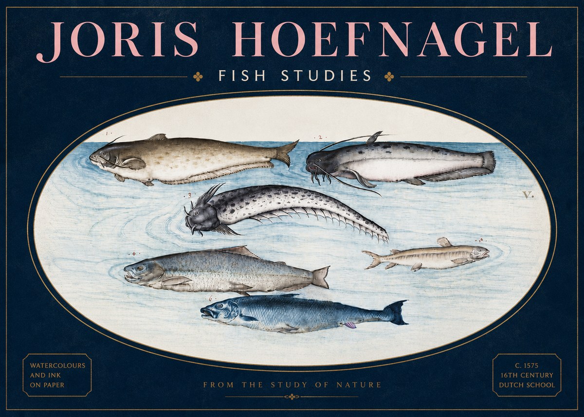 Joris Hoefnagel Fish of the Waters No4 - Juliste