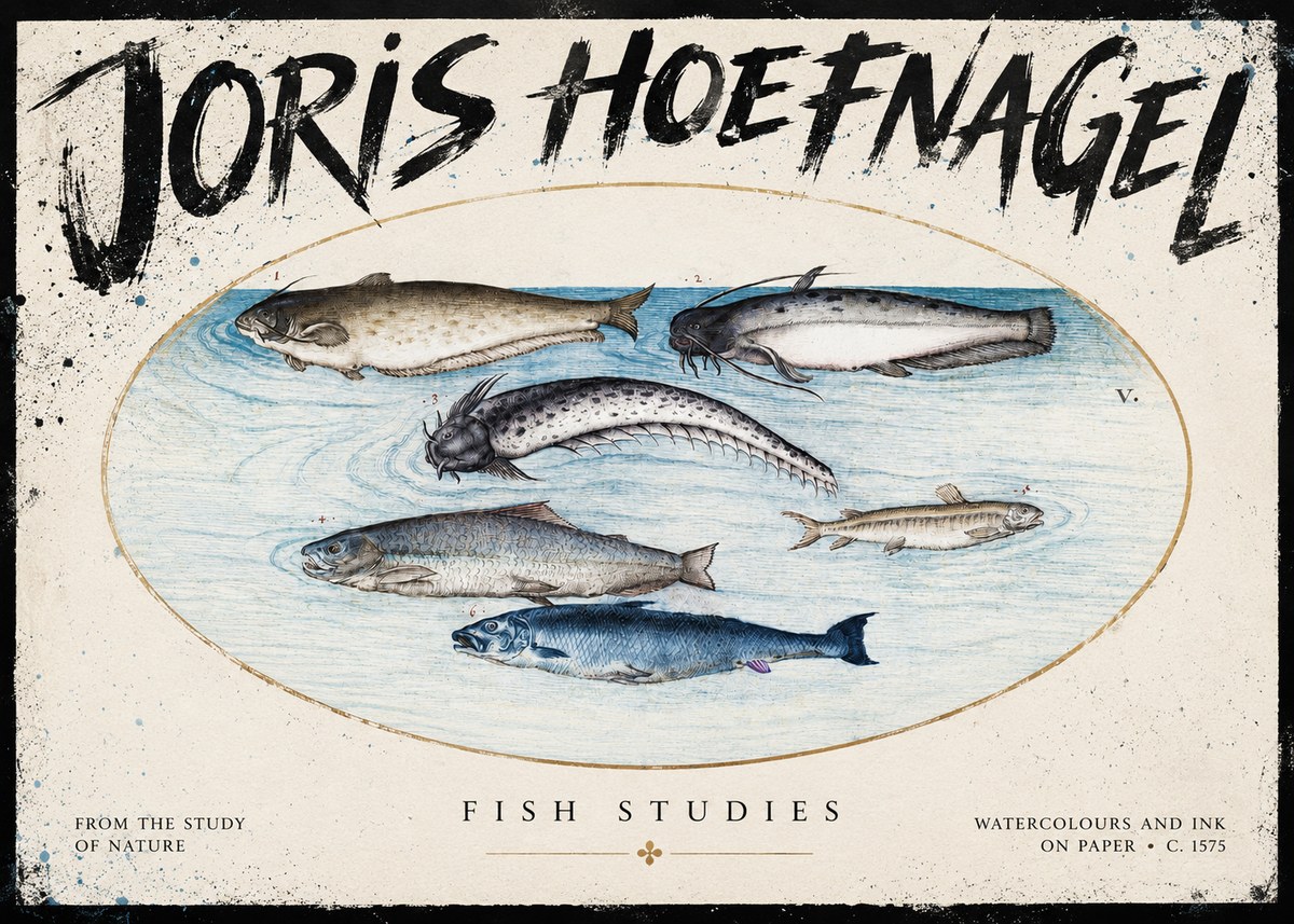 Joris Hoefnagel Fish of the Waters No5 - Juliste