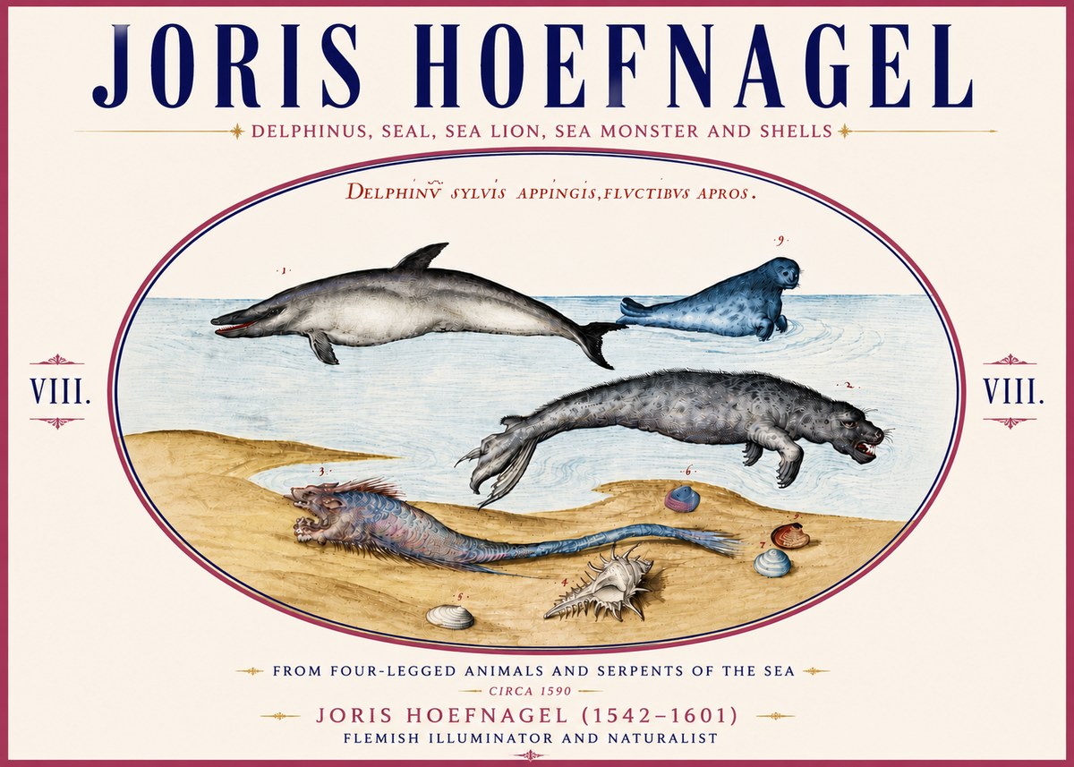 Joris Hoefnagel Delphinus, Seal, Sea Lion, Sea Monster and Shells No6 - Juliste