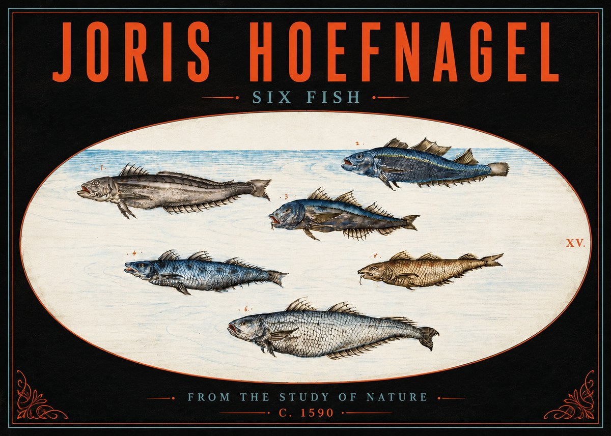 Joris Hoefnagel Six Fish No5 - Juliste