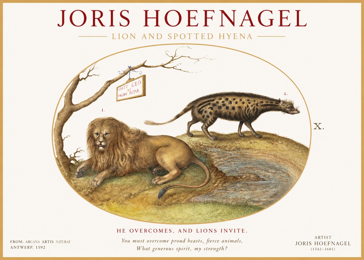 Joris Hoefnagel Lion and Spotted Hyena No1 - Juliste