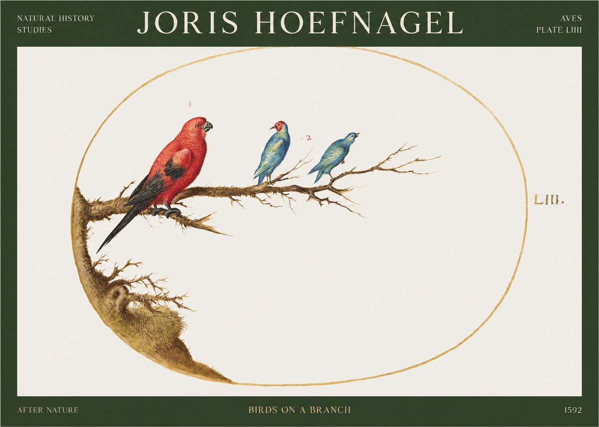 Joris Hoefnagel Birds on a Branch No1 - Juliste
