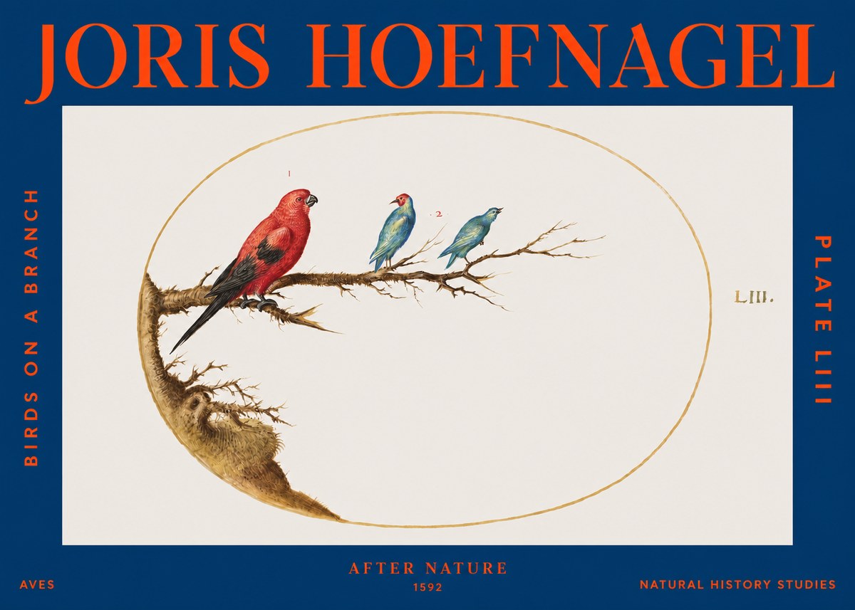Joris Hoefnagel Birds on a Branch No3 - Juliste