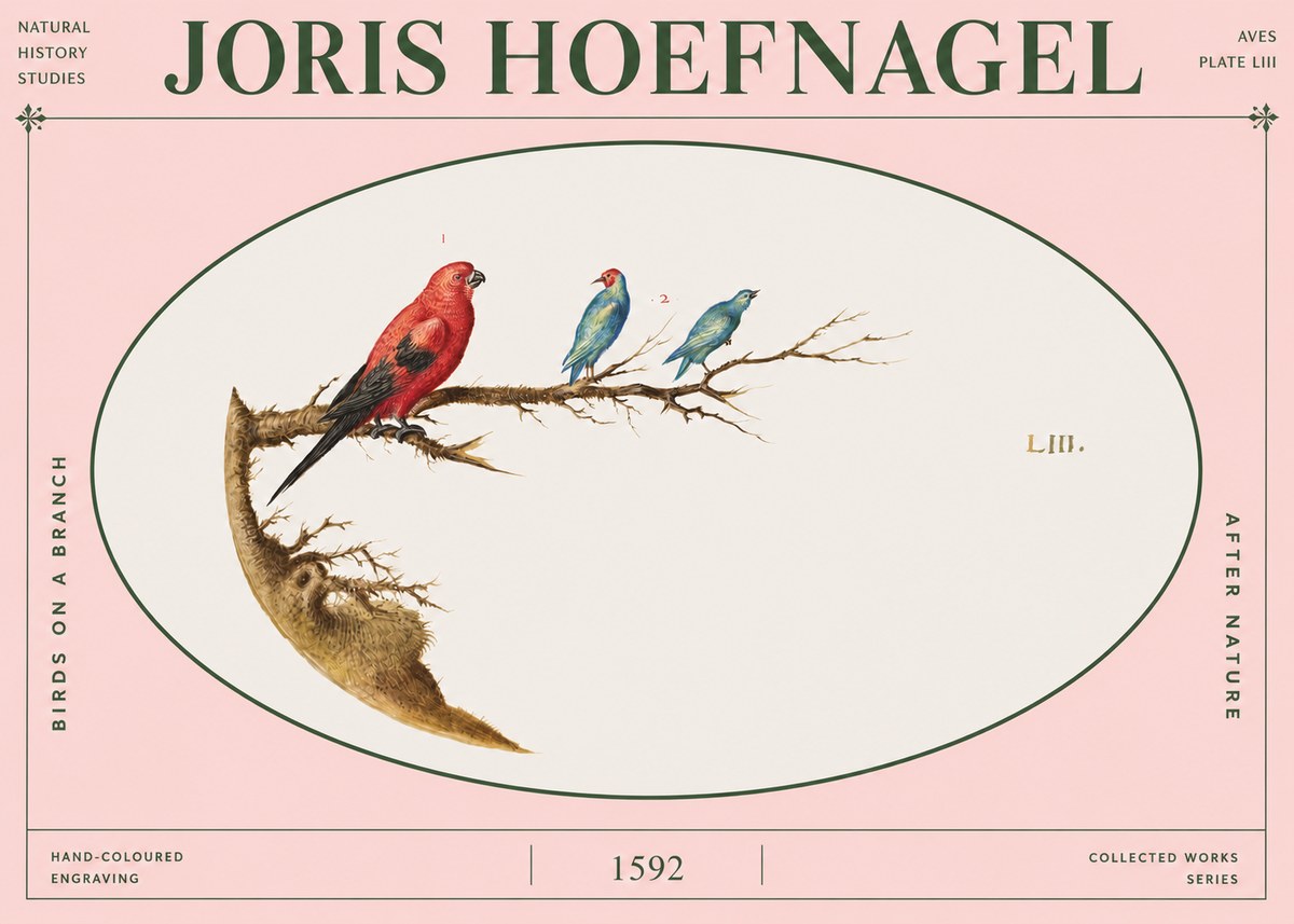 Joris Hoefnagel Birds on a Branch No4 - Juliste