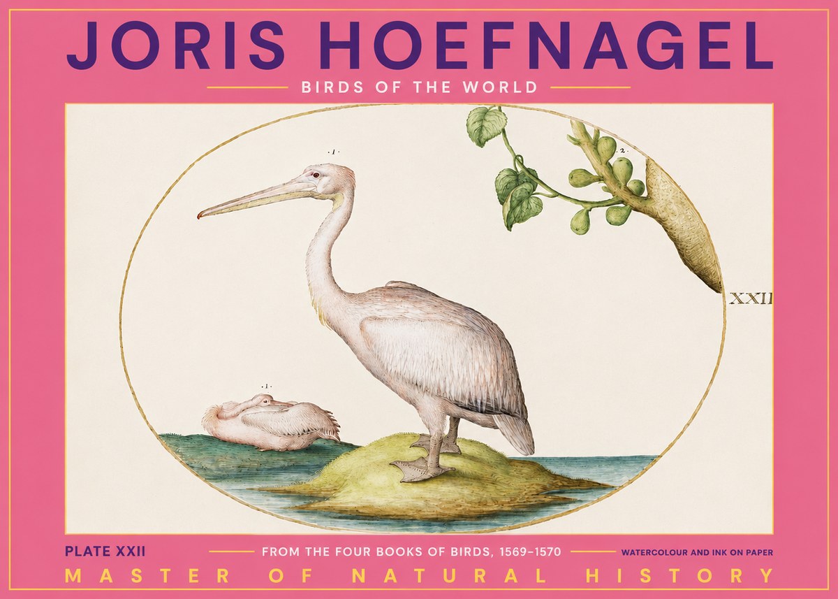 Joris Hoefnagel Plate Xxii No2 - Juliste