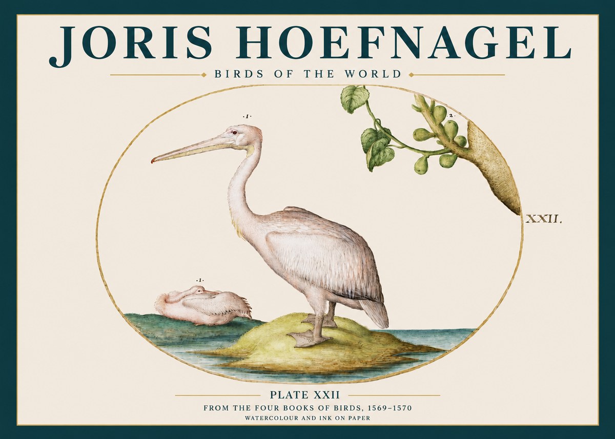 Joris Hoefnagel Plate Xxii No3 - Juliste