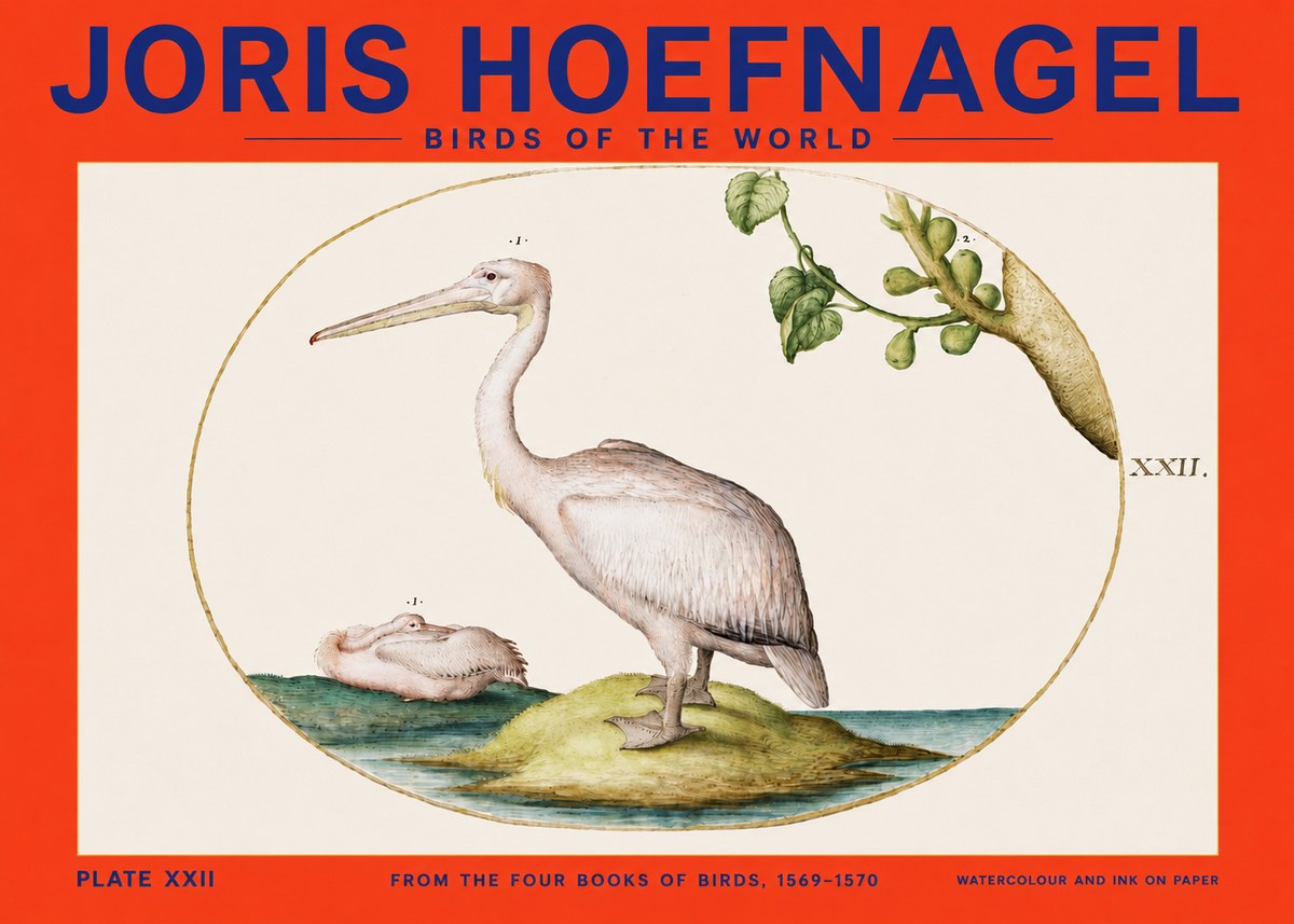 Joris Hoefnagel Plate Xxii No4 - Juliste