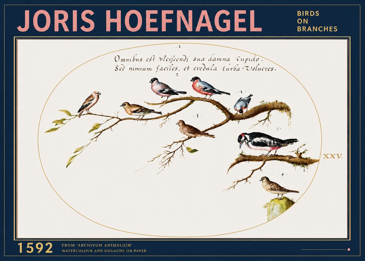 Joris Hoefnagel Birds on Branches No3 - Juliste