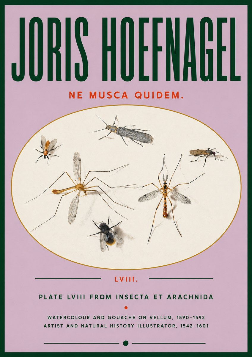 Joris Hoefnagel Plate Lviii from Insecta Et Arachnida No4 - Juliste