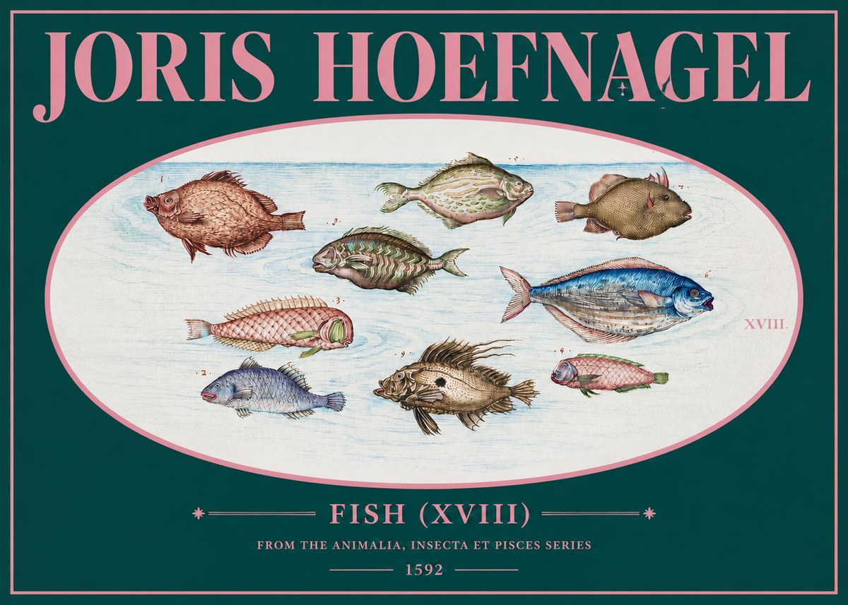 Joris Hoefnagel Studies of Fish I No3 - Juliste