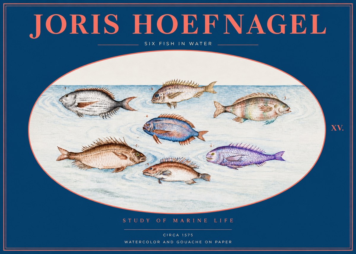 Joris Hoefnagel Six Fish in Water No2 - Juliste