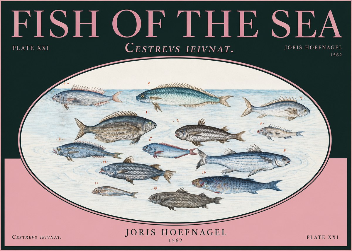 Joris Hoefnagel Fish of the Sea - Cestrevs Ieivnat. Plate Xxi No2 - Juliste