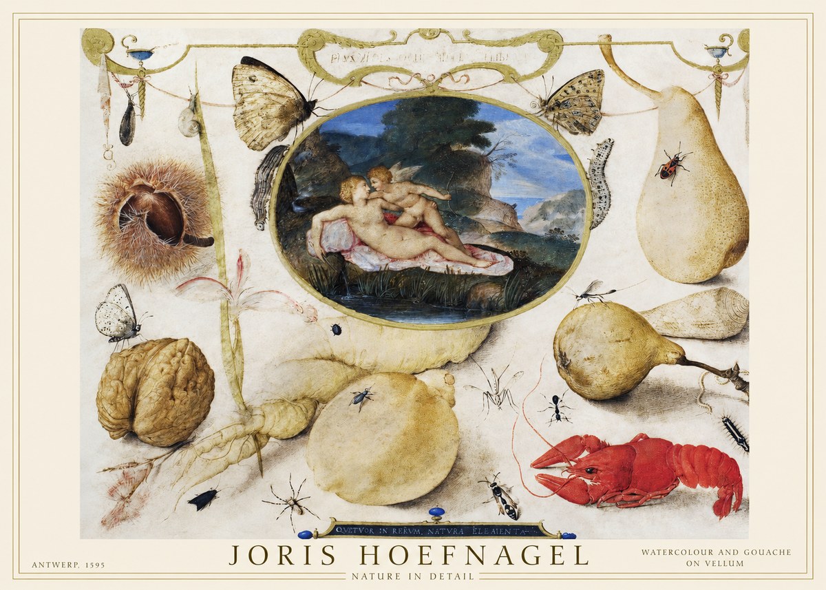 Joris Hoefnagel Nature in Detail No1 - Juliste