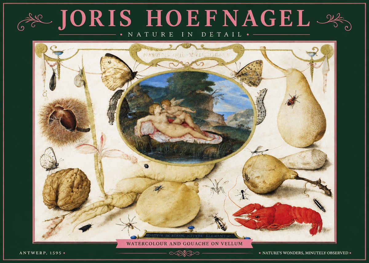 Joris Hoefnagel Nature in Detail No3 - Juliste