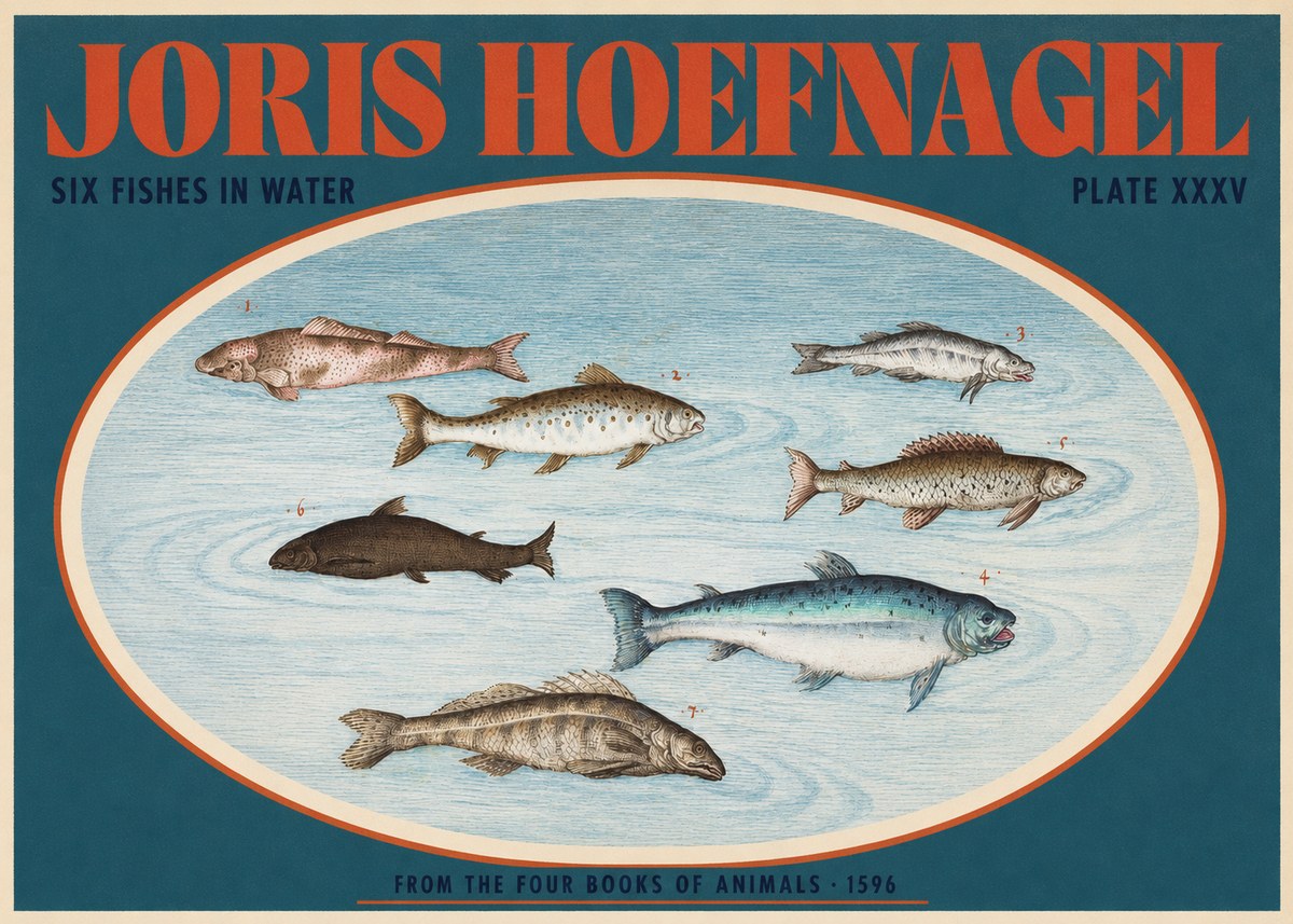 Joris Hoefnagel Six Fishes in Water I No2 - Juliste