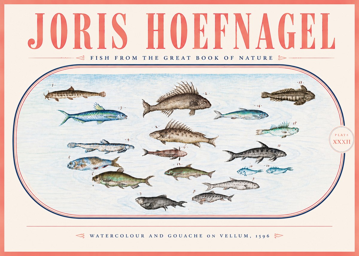 Joris Hoefnagel Fish from the Great Book of Nature No5 - Juliste