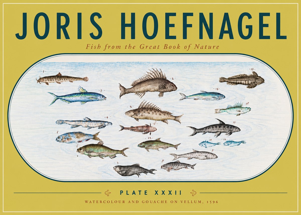 Joris Hoefnagel Fish from the Great Book of Nature No6 - Juliste