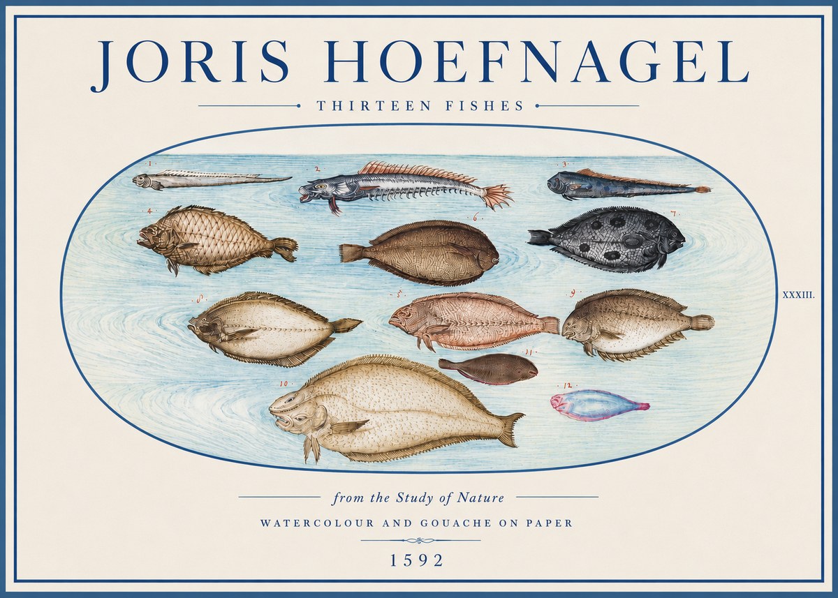 Joris Hoefnagel Thirteen Fishes from the Study of Nature No4 - Juliste