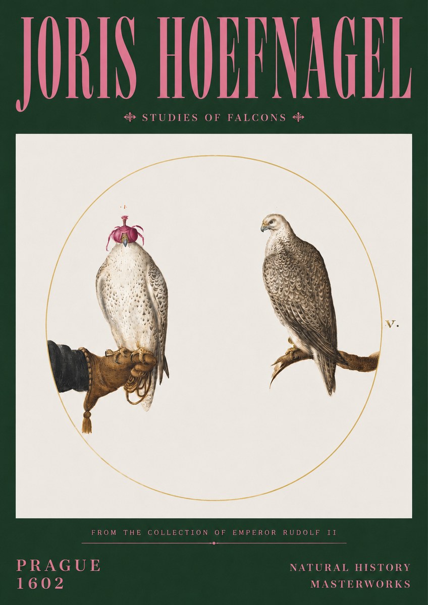 Joris Hoefnagel Studies of Falcons No3 - Juliste