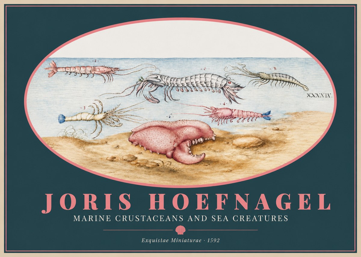 Joris Hoefnagel Marine Crustaceans and Sea Creature No2 - Juliste