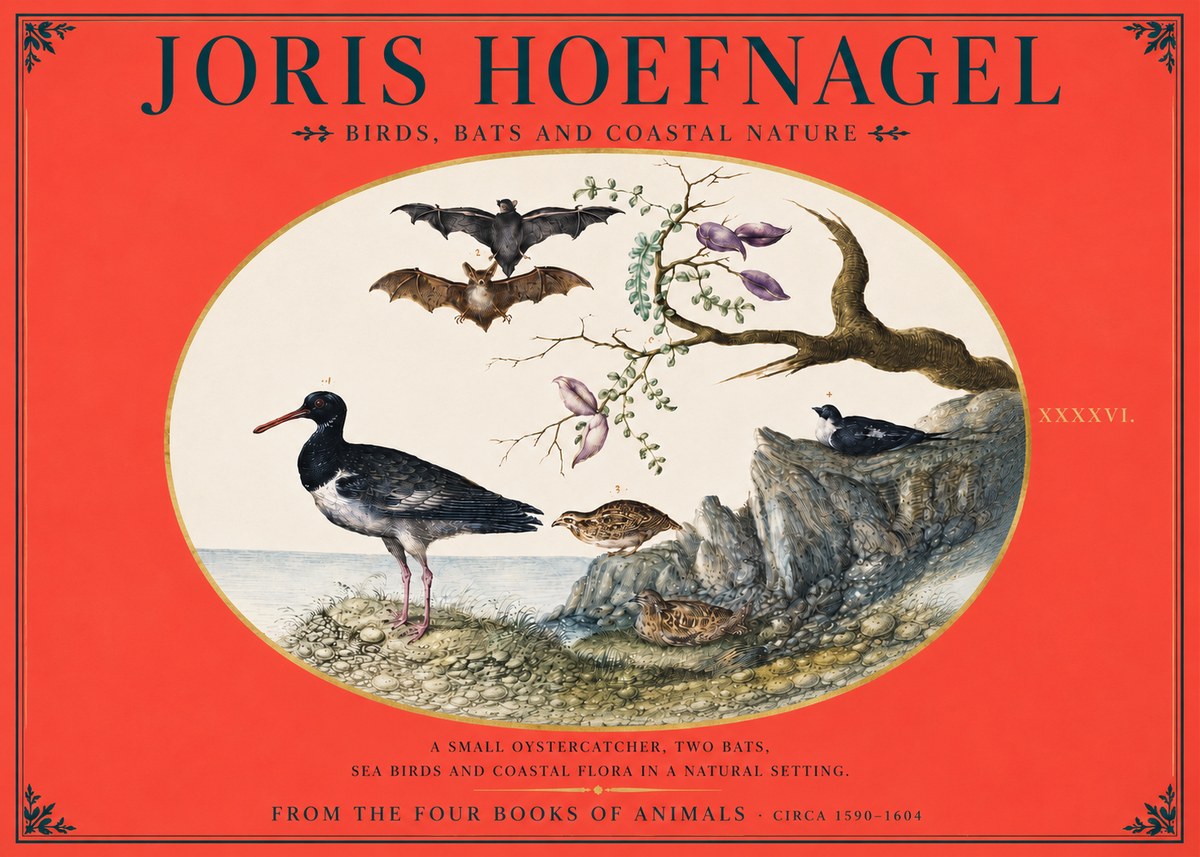 Joris Hoefnagel Birds, Bats and Coastal Nature No4 - Juliste
